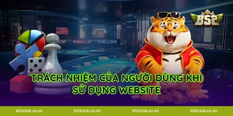 Trách nhiệm của người dùng khi sử dụng website
